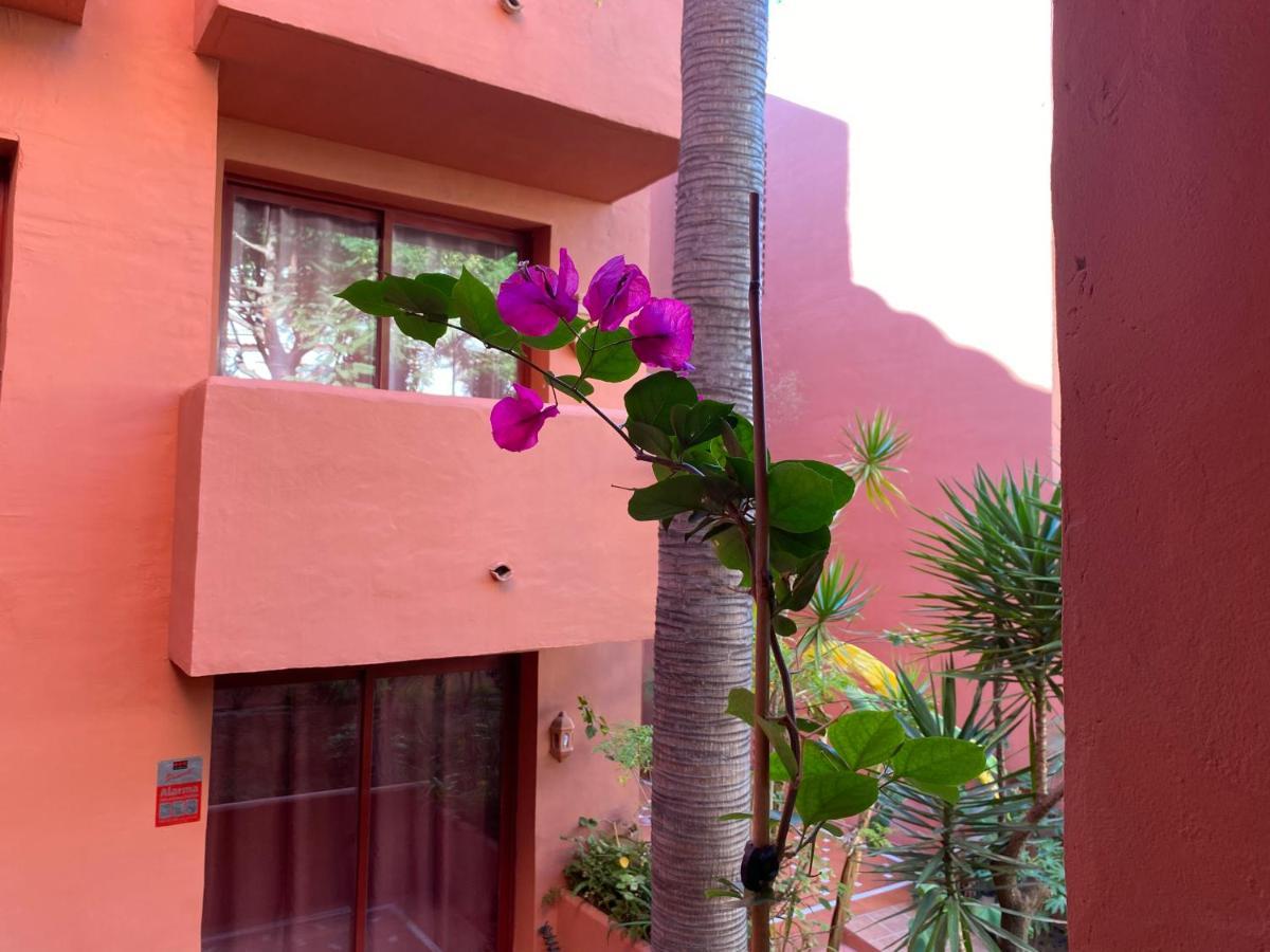 Apartamento Don Carlos Marbella