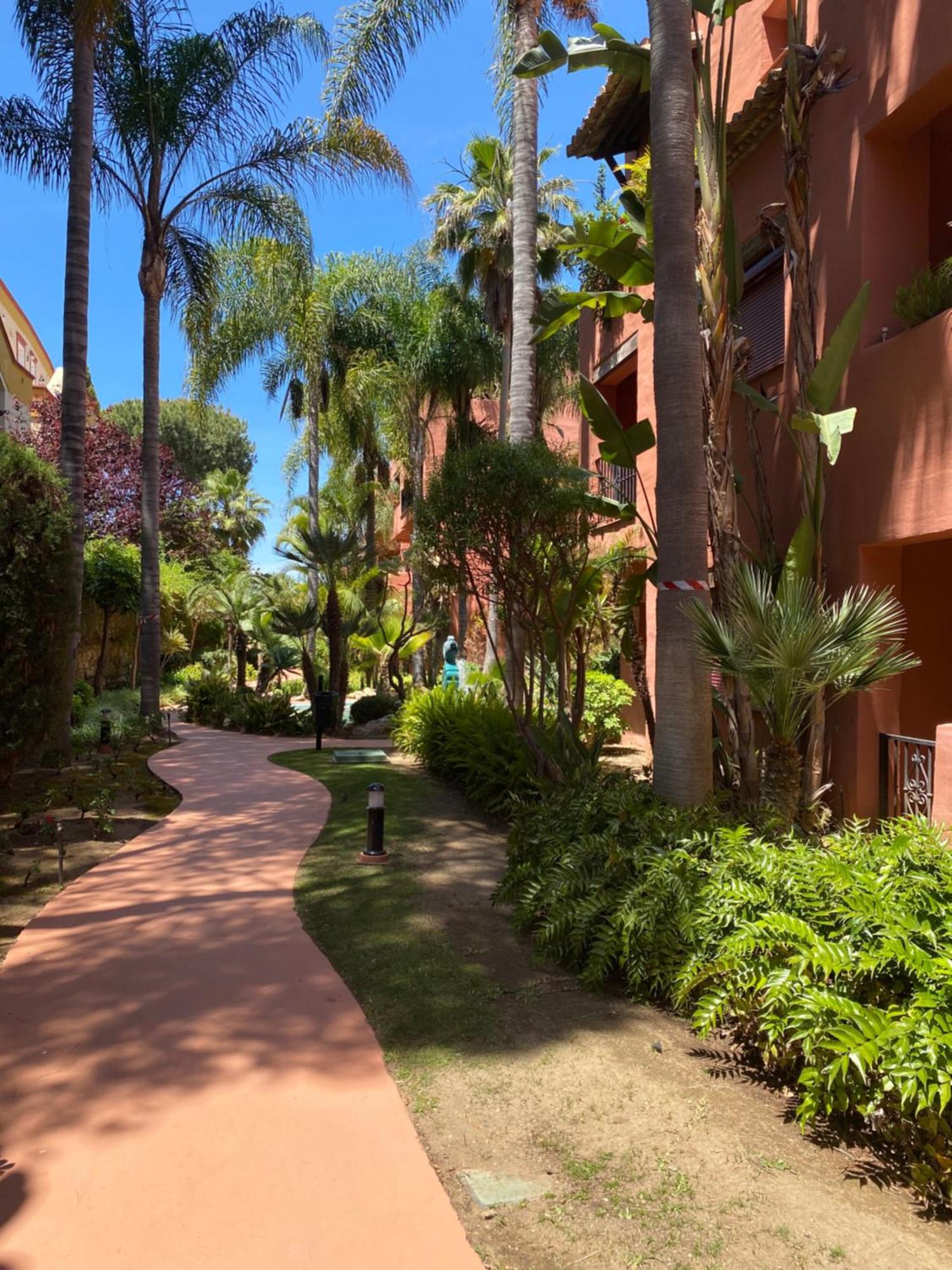 Apartamento Don Carlos *