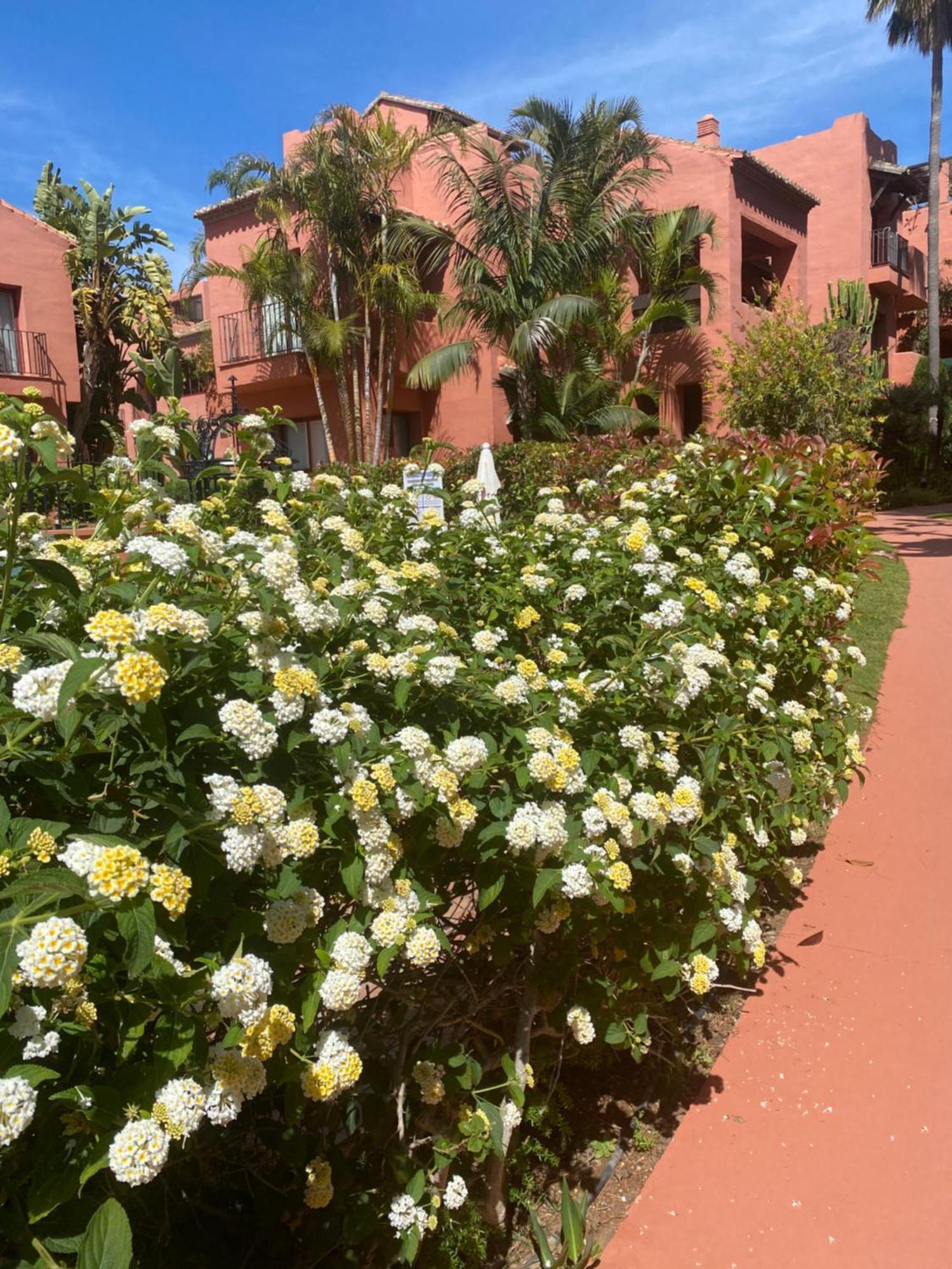 Apartamento Don Carlos *